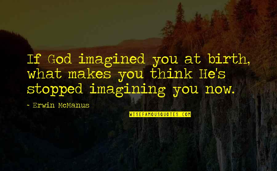 Takagi Parts Quotes By Erwin McManus: If God imagined you at birth, what makes