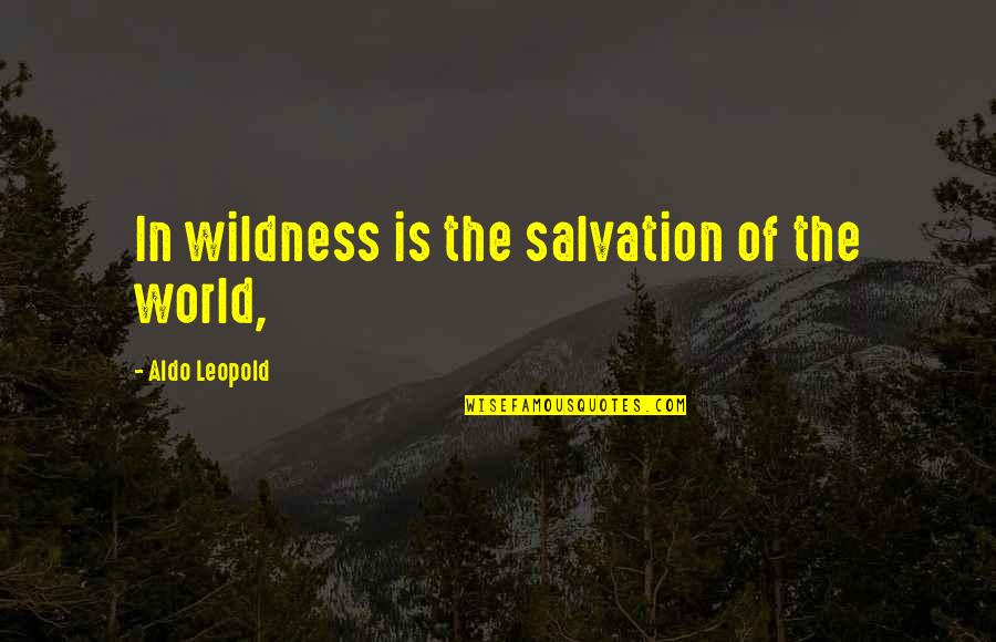 Takahara Wellesley Quotes By Aldo Leopold: In wildness is the salvation of the world,