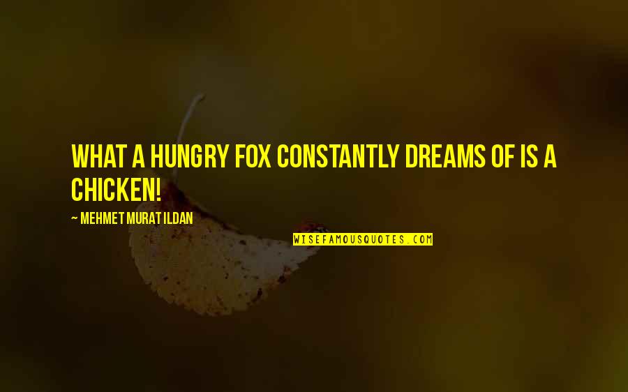 Takaishi Gallery Quotes By Mehmet Murat Ildan: What a hungry fox constantly dreams of is