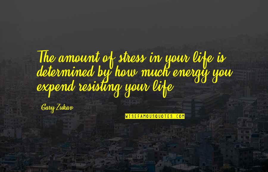 Takamiyama Daigoro Quotes By Gary Zukav: The amount of stress in your life is