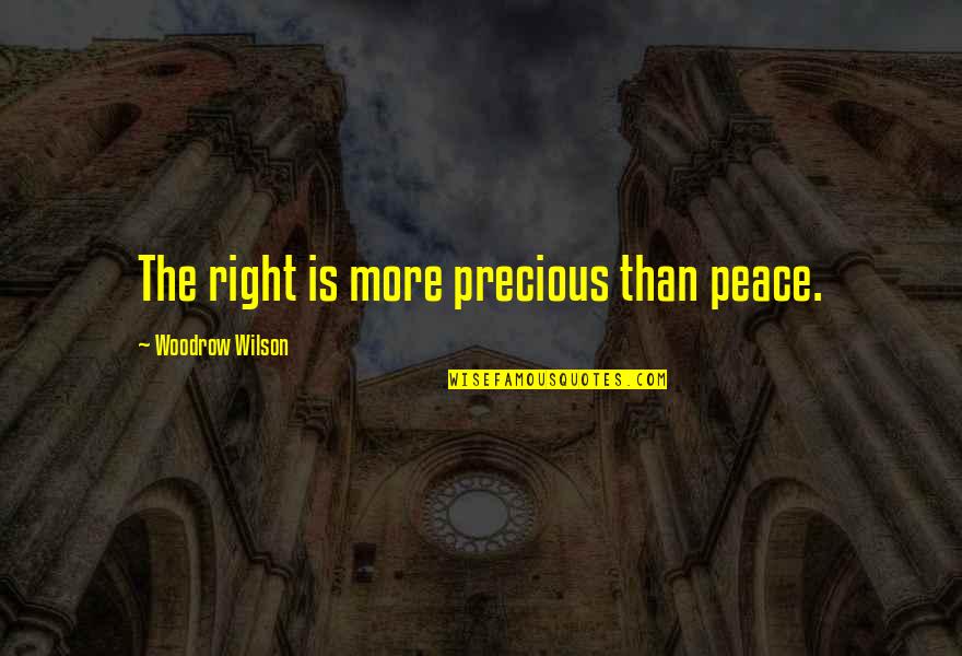 Takamoto Biogas Quotes By Woodrow Wilson: The right is more precious than peace. Takamoto Biogas Quotes By Woodrow Wilson: The right is more precious than peace.
