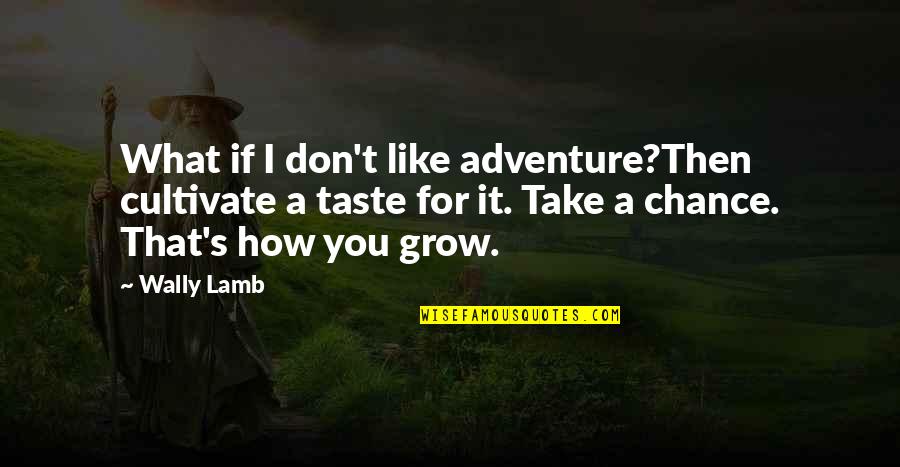Take A Chance Quotes By Wally Lamb: What if I don't like adventure?Then cultivate a
