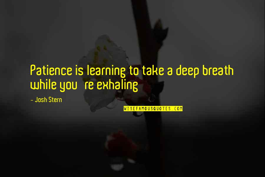 Take A Deep Breath Quotes By Josh Stern: Patience is learning to take a deep breath