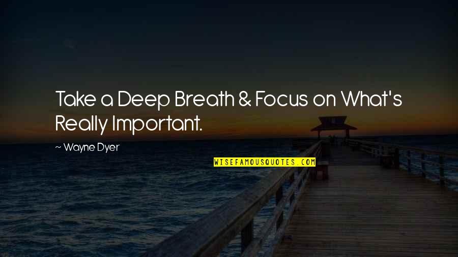 Take A Deep Breath Quotes By Wayne Dyer: Take a Deep Breath & Focus on What's
