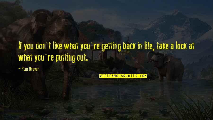 Take A Look At Your Life Quotes By Pam Dreyer: If you don't like what you're getting back