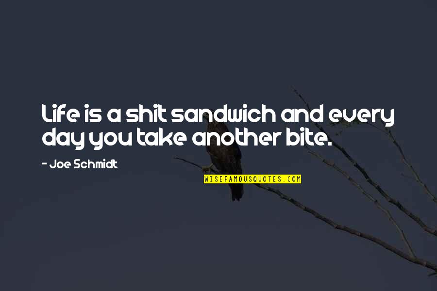 Take And Take Quotes By Joe Schmidt: Life is a shit sandwich and every day