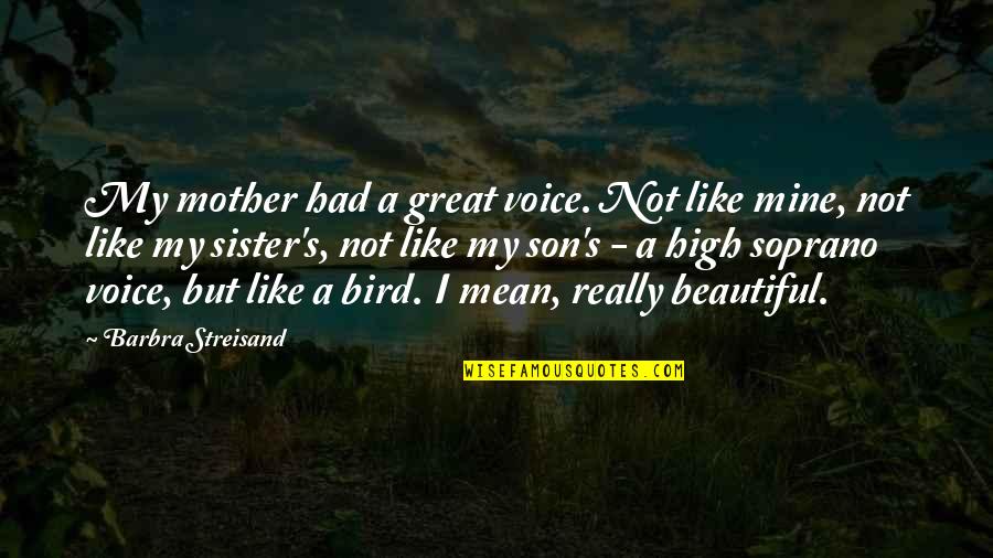 Take Care Of What You Have Quotes By Barbra Streisand: My mother had a great voice. Not like