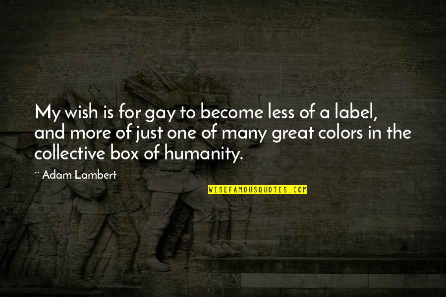 Take Care Of Your Body And Mind Quotes By Adam Lambert: My wish is for gay to become less Take Care Of Your Body And Mind Quotes By Adam Lambert: My wish is for gay to become less