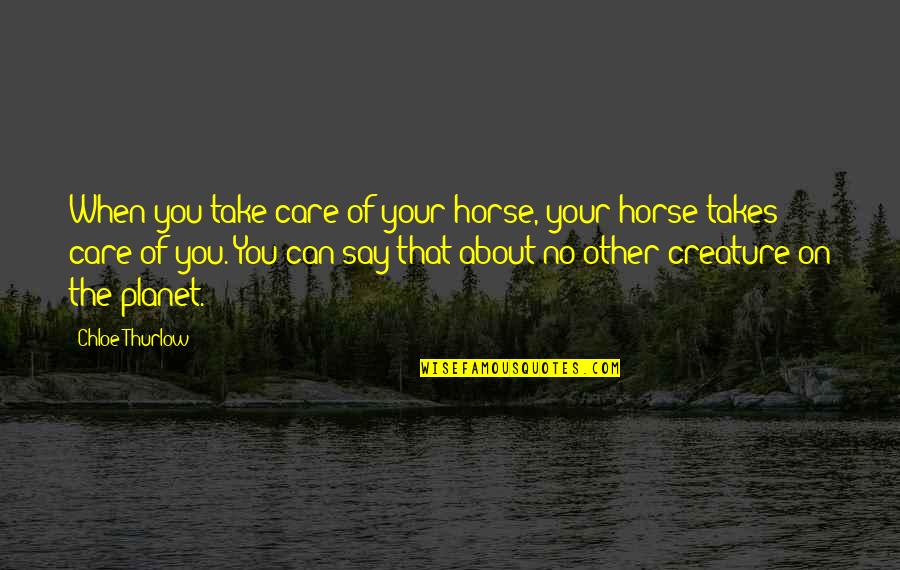 Take Care Quotes By Chloe Thurlow: When you take care of your horse, your
