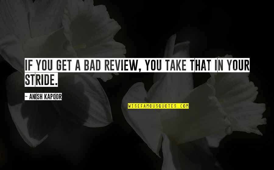 Take It In Your Stride Quotes By Anish Kapoor: If you get a bad review, you take