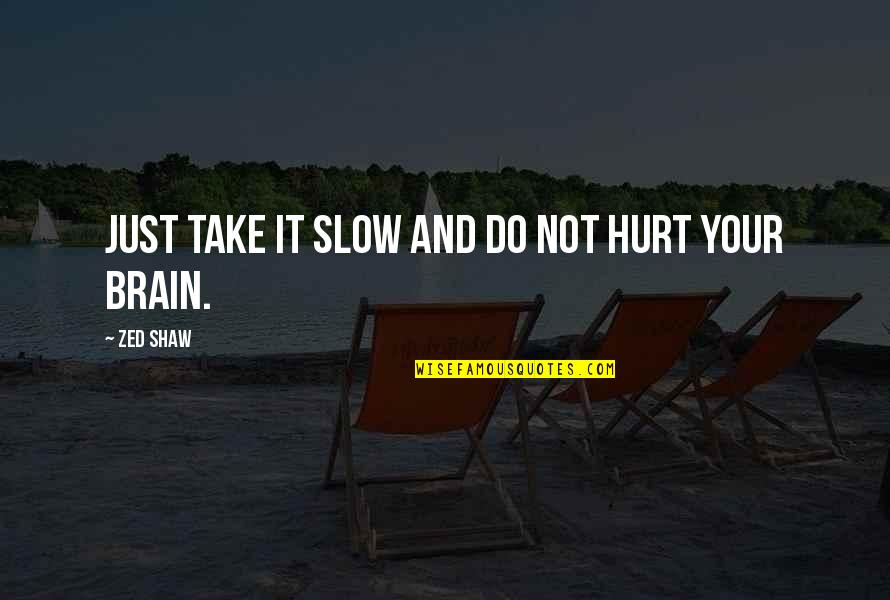 Take It Slow Quotes By Zed Shaw: Just take it slow and do not hurt