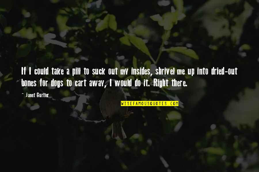 Take Me Away Quotes By Janet Gurtler: If I could take a pill to suck