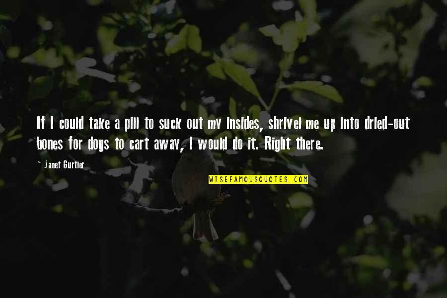 Take Me Away With You Quotes By Janet Gurtler: If I could take a pill to suck