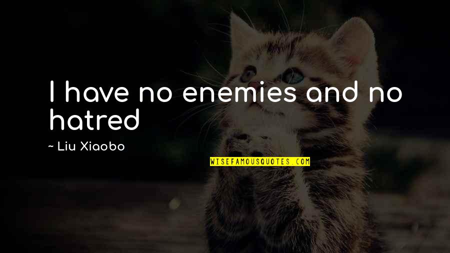Take Me Home Tonight Funny Quotes By Liu Xiaobo: I have no enemies and no hatred