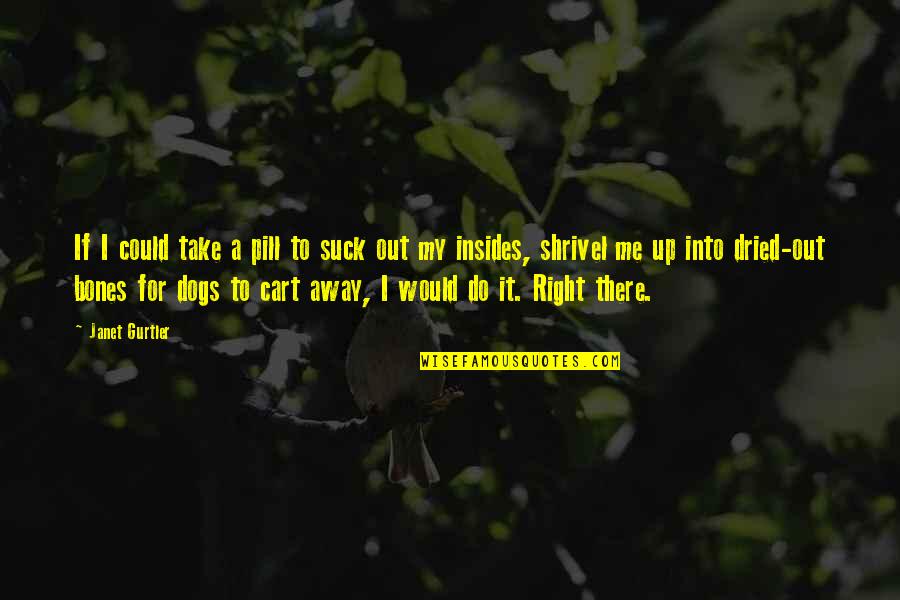 Take Me Out Quotes By Janet Gurtler: If I could take a pill to suck