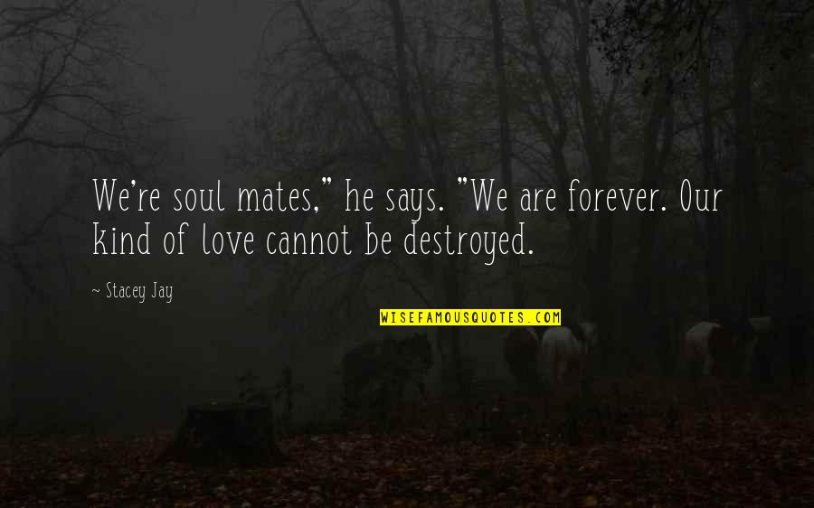 Take Me To The Beach Quotes By Stacey Jay: We're soul mates," he says. "We are forever.
