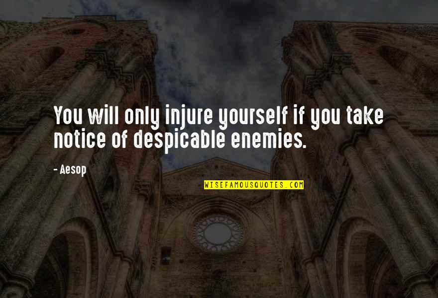 Take Notice Quotes By Aesop: You will only injure yourself if you take