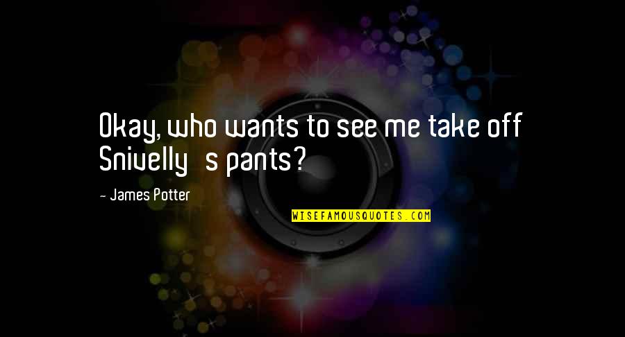 Take Off Quotes By James Potter: Okay, who wants to see me take off