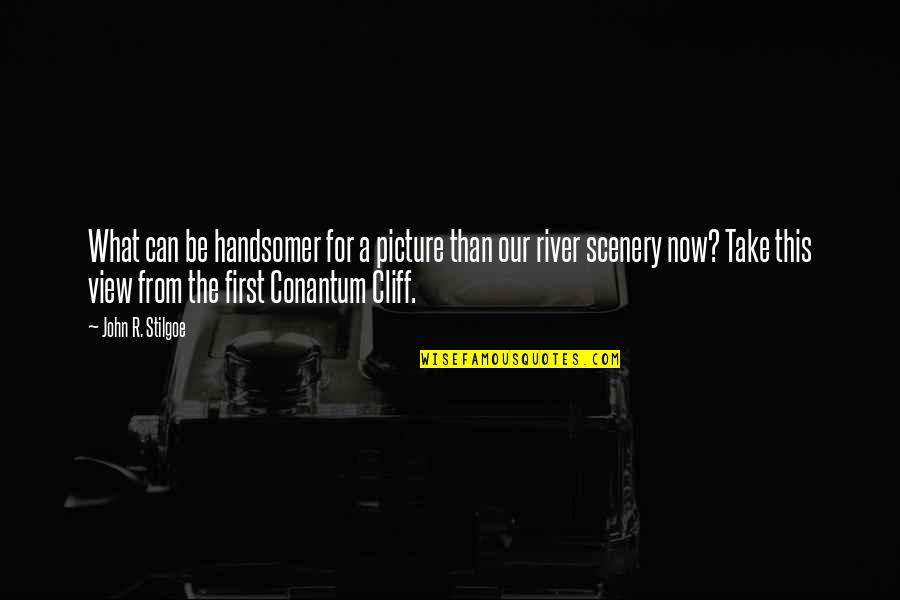 Take Picture Quotes By John R. Stilgoe: What can be handsomer for a picture than Take Picture Quotes By John R. Stilgoe: What can be handsomer for a picture than