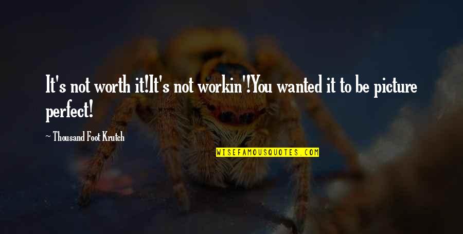 Take Picture Quotes By Thousand Foot Krutch: It's not worth it!It's not workin'!You wanted it Take Picture Quotes By Thousand Foot Krutch: It's not worth it!It's not workin'!You wanted it