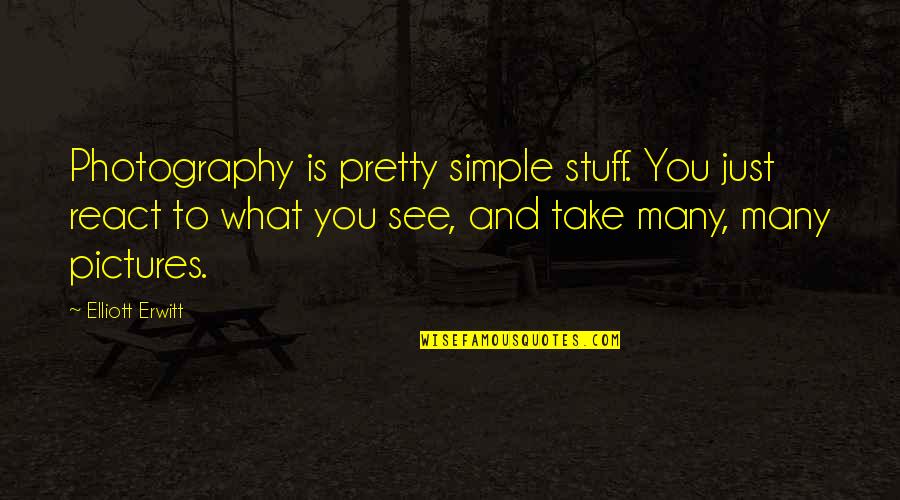 Take Pictures Quotes By Elliott Erwitt: Photography is pretty simple stuff. You just react Take Pictures Quotes By Elliott Erwitt: Photography is pretty simple stuff. You just react
