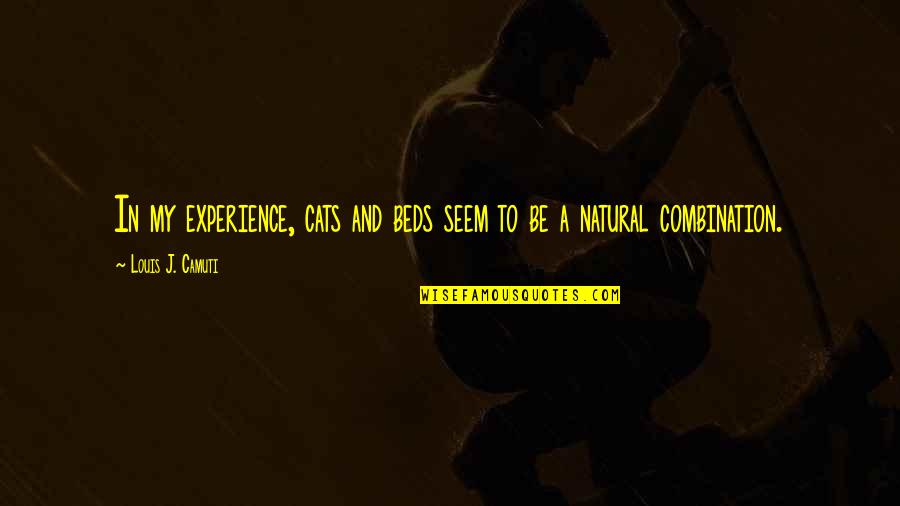 Take Risk To Be Successful Quotes By Louis J. Camuti: In my experience, cats and beds seem to Take Risk To Be Successful Quotes By Louis J. Camuti: In my experience, cats and beds seem to