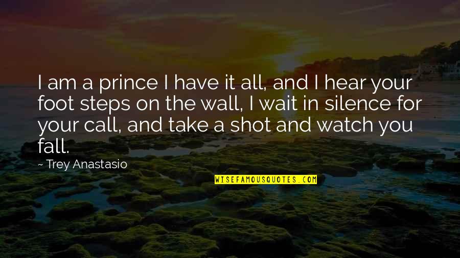 Take The Shot Quotes By Trey Anastasio: I am a prince I have it all,