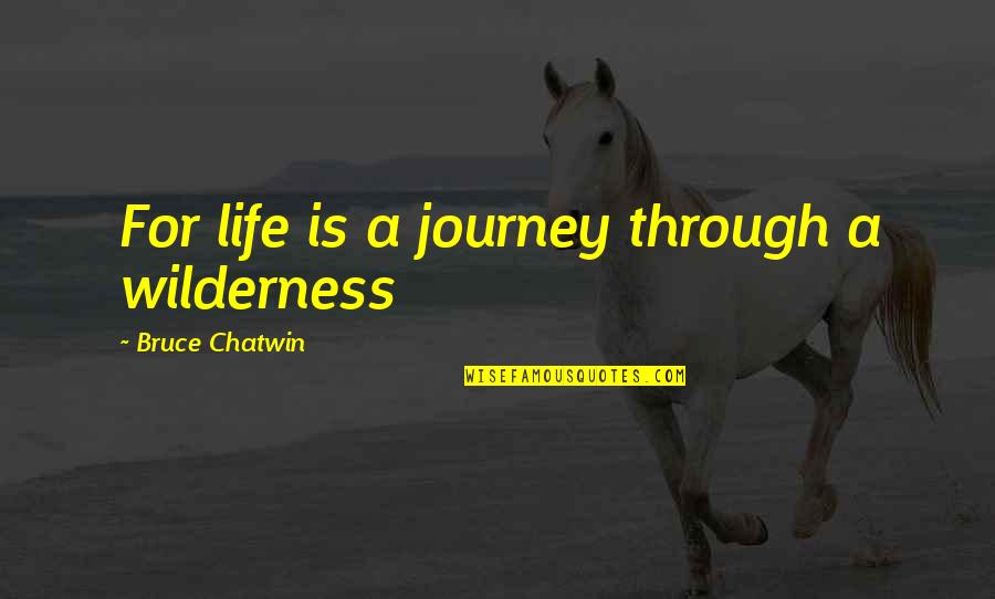 Take Time To Reflect Quotes By Bruce Chatwin: For life is a journey through a wilderness