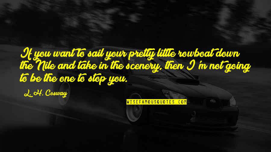 Take You Down Quotes By L. H. Cosway: If you want to sail your pretty little