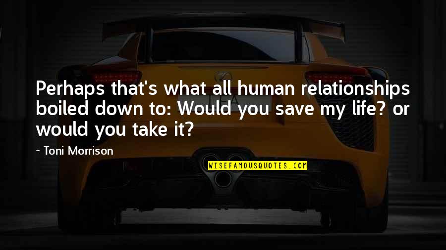 Take You Down Quotes By Toni Morrison: Perhaps that's what all human relationships boiled down