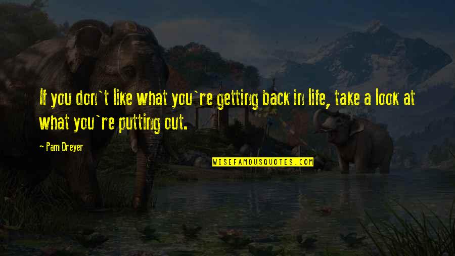 Take Your Life Back Quotes By Pam Dreyer: If you don't like what you're getting back Take Your Life Back Quotes By Pam Dreyer: If you don't like what you're getting back