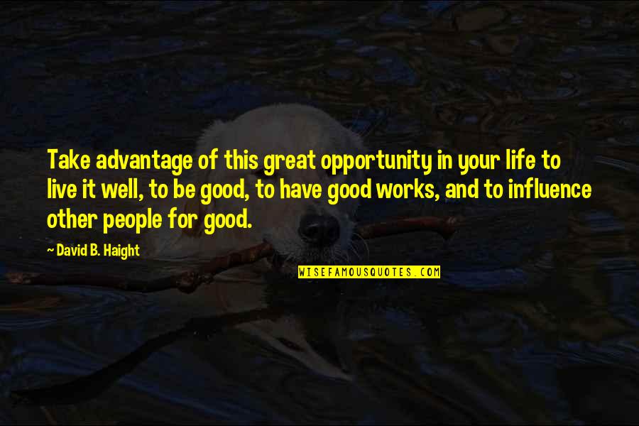 Take Your Opportunity Quotes By David B. Haight: Take advantage of this great opportunity in your