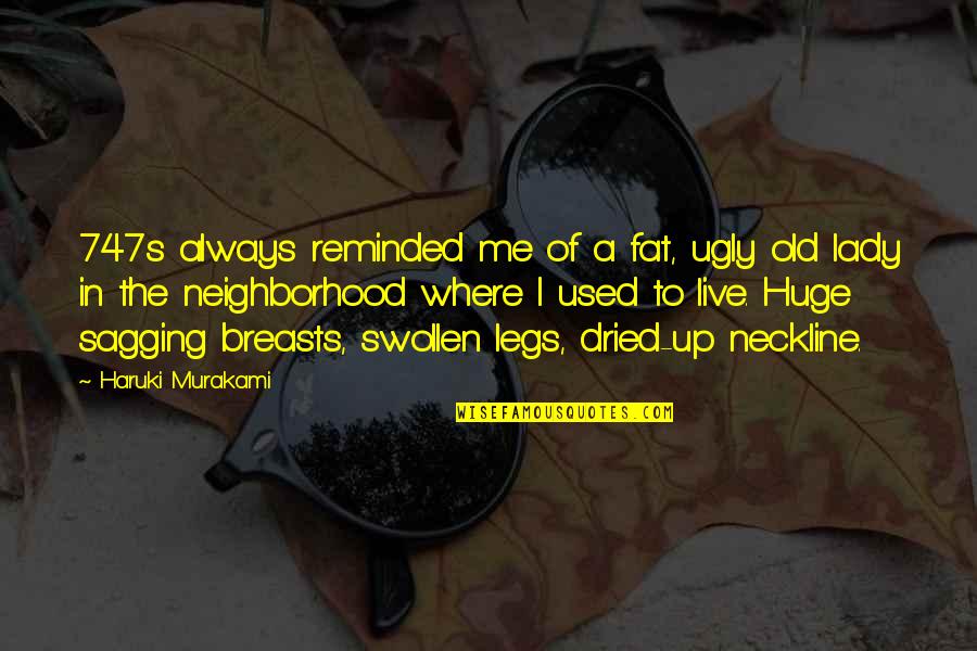 Taken For Granted By Husband Quotes By Haruki Murakami: 747s always reminded me of a fat, ugly Taken For Granted By Husband Quotes By Haruki Murakami: 747s always reminded me of a fat, ugly