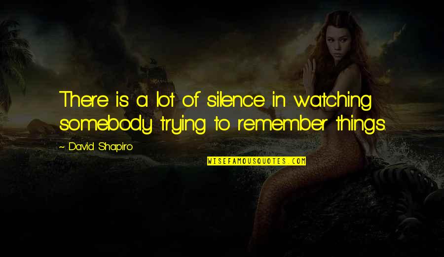 Takeshi Kaneshiro Quotes By David Shapiro: There is a lot of silence in watching