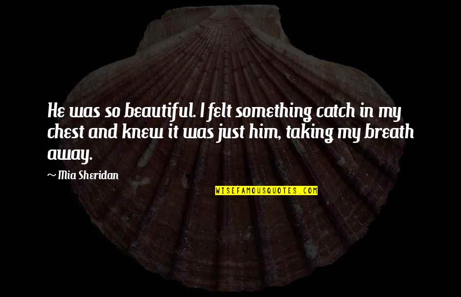 Taking Breath Away Quotes By Mia Sheridan: He was so beautiful. I felt something catch