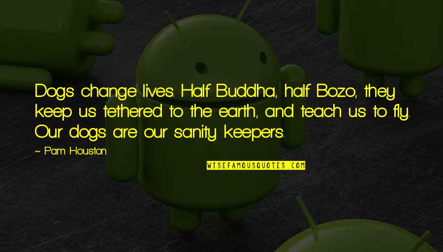 Taking Chances And Having No Regrets Quotes By Pam Houston: Dogs change lives. Half Buddha, half Bozo, they