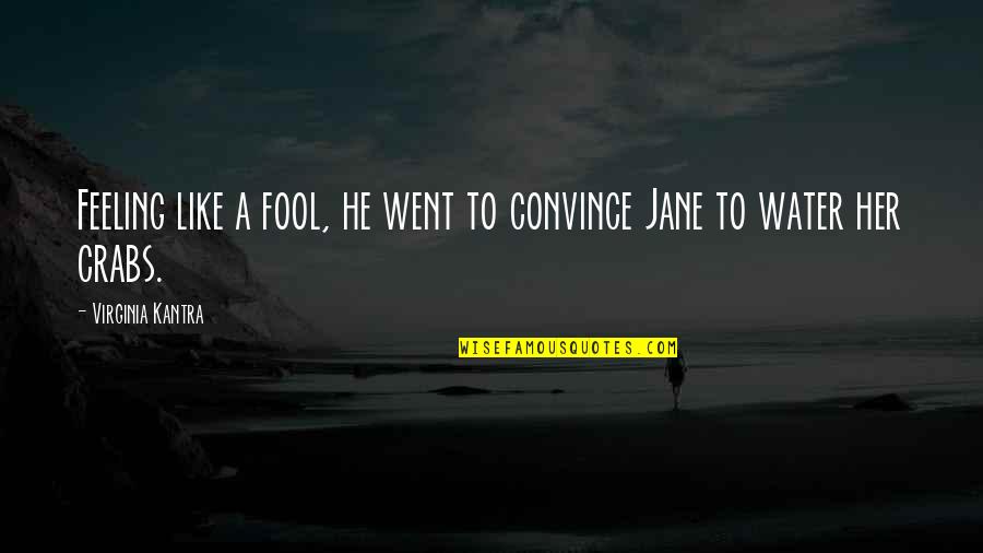 Taking Life Slow Quotes By Virginia Kantra: Feeling like a fool, he went to convince Taking Life Slow Quotes By Virginia Kantra: Feeling like a fool, he went to convince