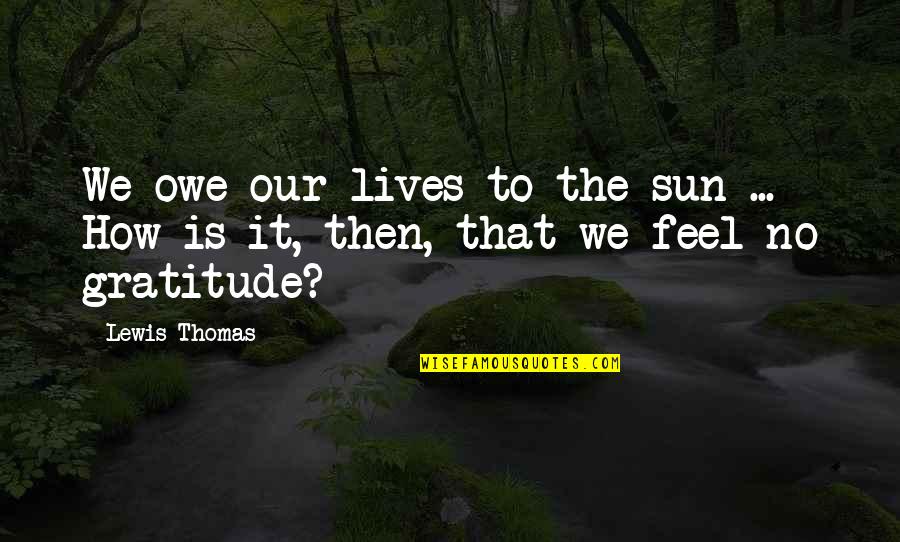 Taking Me Seriously Quotes By Lewis Thomas: We owe our lives to the sun ...
