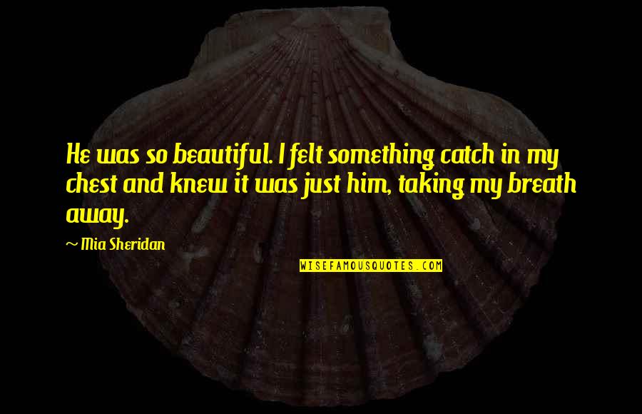 Taking My Breath Away Quotes By Mia Sheridan: He was so beautiful. I felt something catch