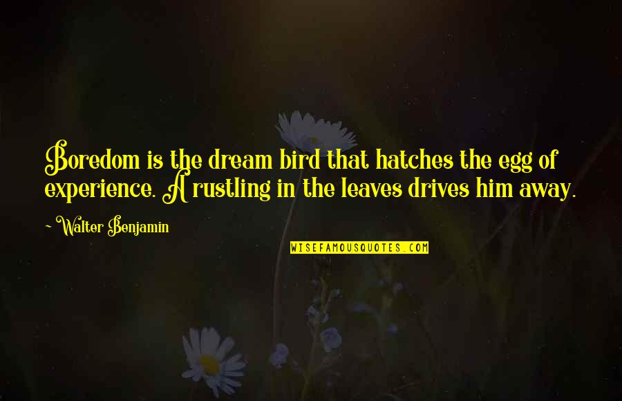 Taking Responsibility For Your Own Actions Quotes By Walter Benjamin: Boredom is the dream bird that hatches the