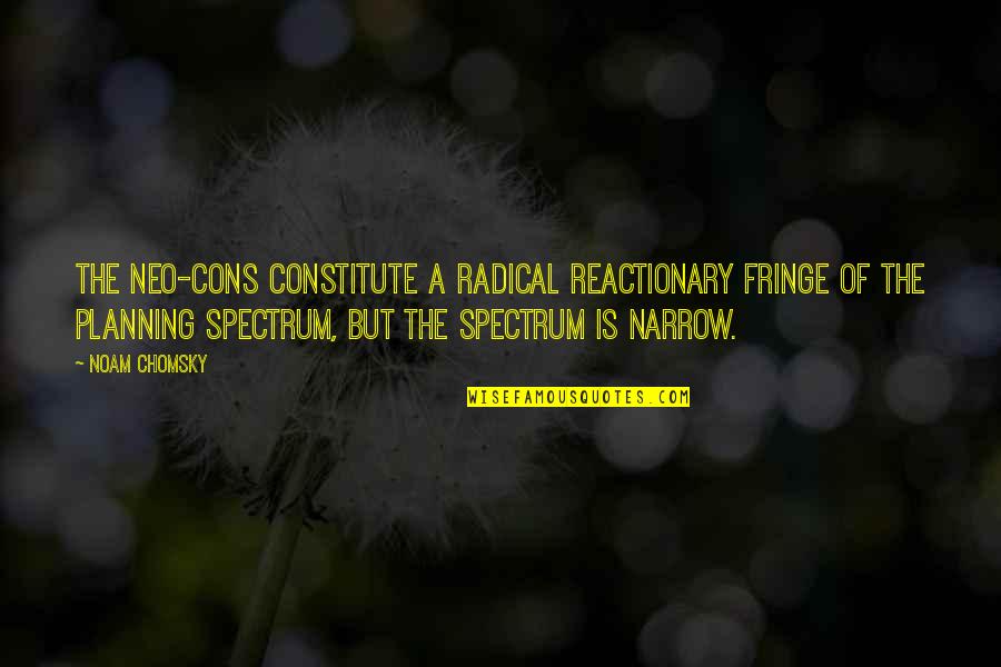 Taking Things In Stride Quotes By Noam Chomsky: The neo-cons constitute a radical reactionary fringe of