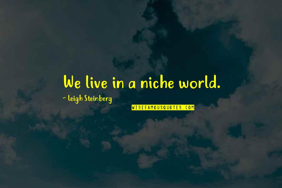 Taking Time For Relationships Quotes By Leigh Steinberg: We live in a niche world.