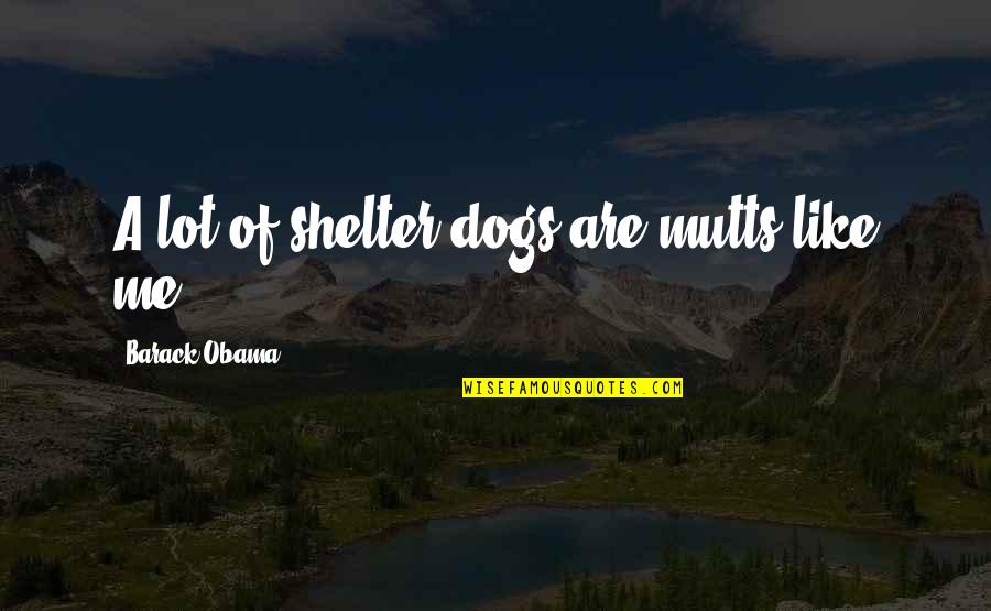 Takoda Quotes By Barack Obama: A lot of shelter dogs are mutts like