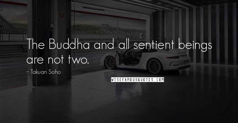 Takuan Soho quotes: The Buddha and all sentient beings are not two.