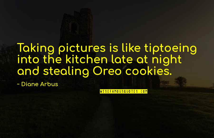 Talabani Family Quotes By Diane Arbus: Taking pictures is like tiptoeing into the kitchen