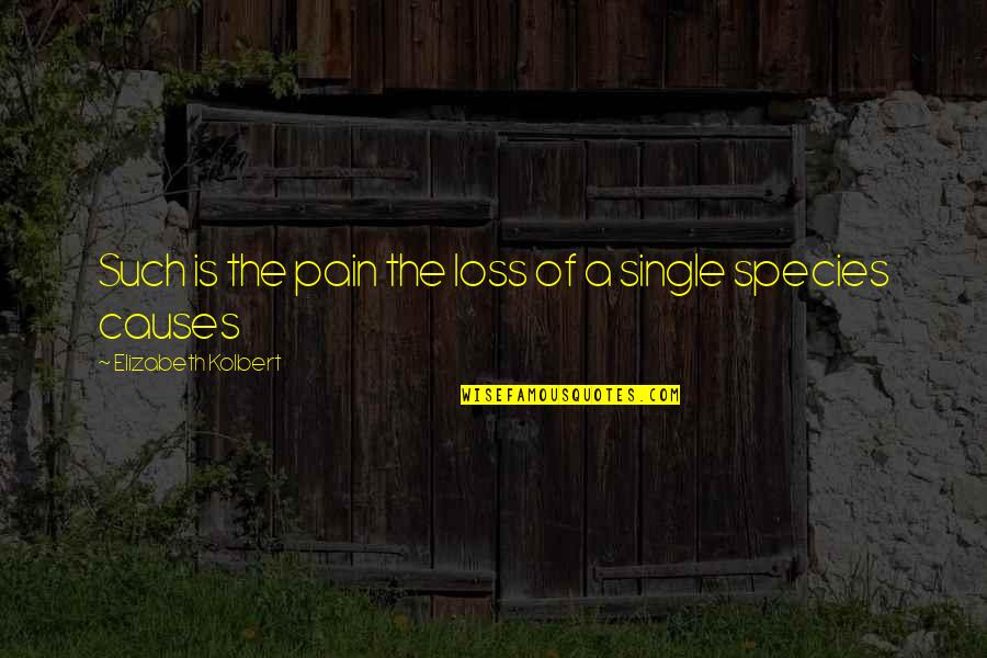 Talate Da2ate Quotes By Elizabeth Kolbert: Such is the pain the loss of a