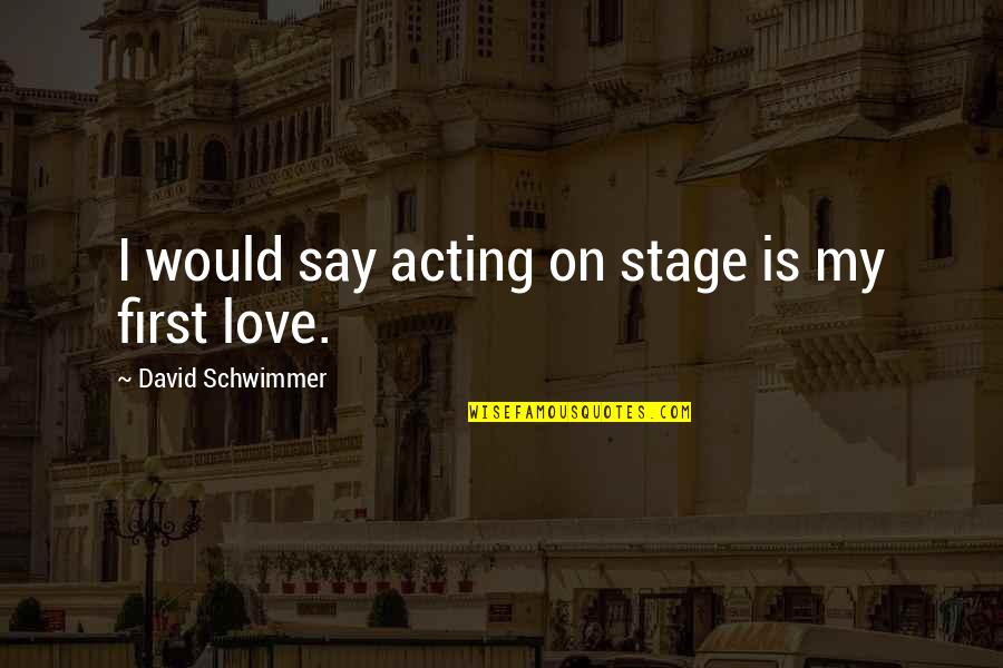 Talebearer Proverbs Quotes By David Schwimmer: I would say acting on stage is my