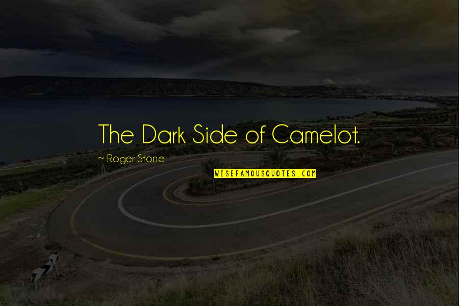 Talebi Inc Quotes By Roger Stone: The Dark Side of Camelot.