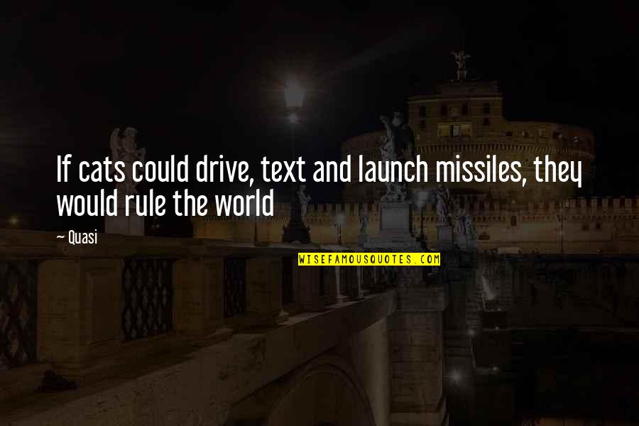 Talessak Quotes By Quasi: If cats could drive, text and launch missiles,