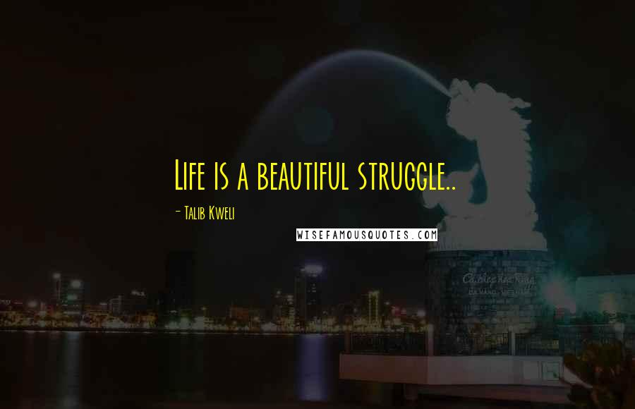 Talib Kweli quotes: Life is a beautiful struggle..